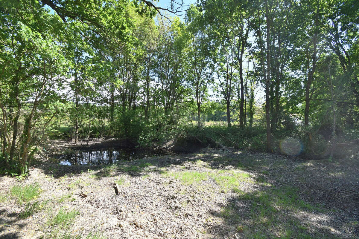 Terrain à GENESTON