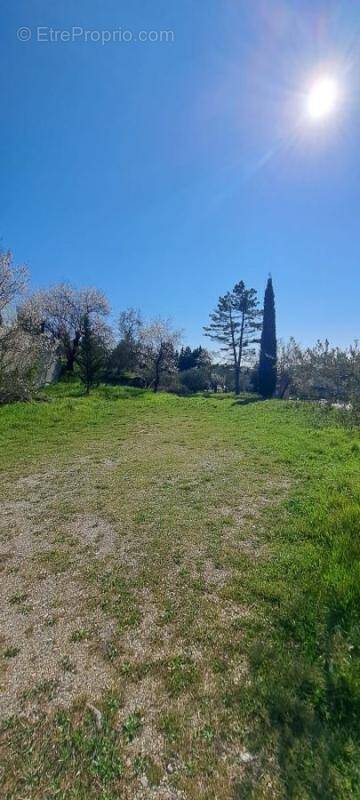 Terrain à VACQUEYRAS