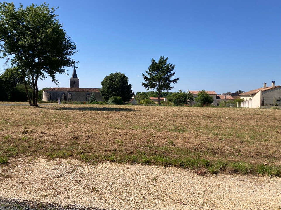 Terrain à SAINT-VAIZE