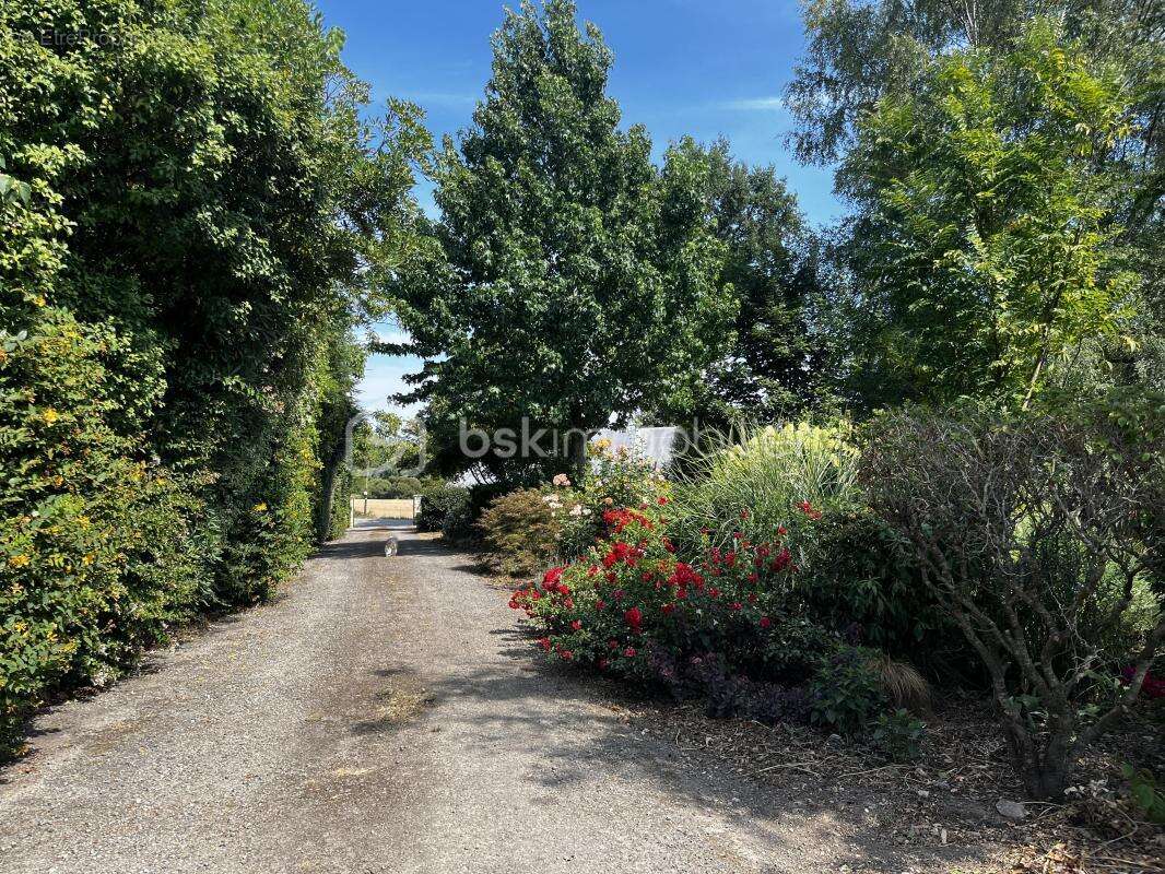 Maison en pierre de caractère avec grand terrain, dépendances et jardin nourricier - photo 22