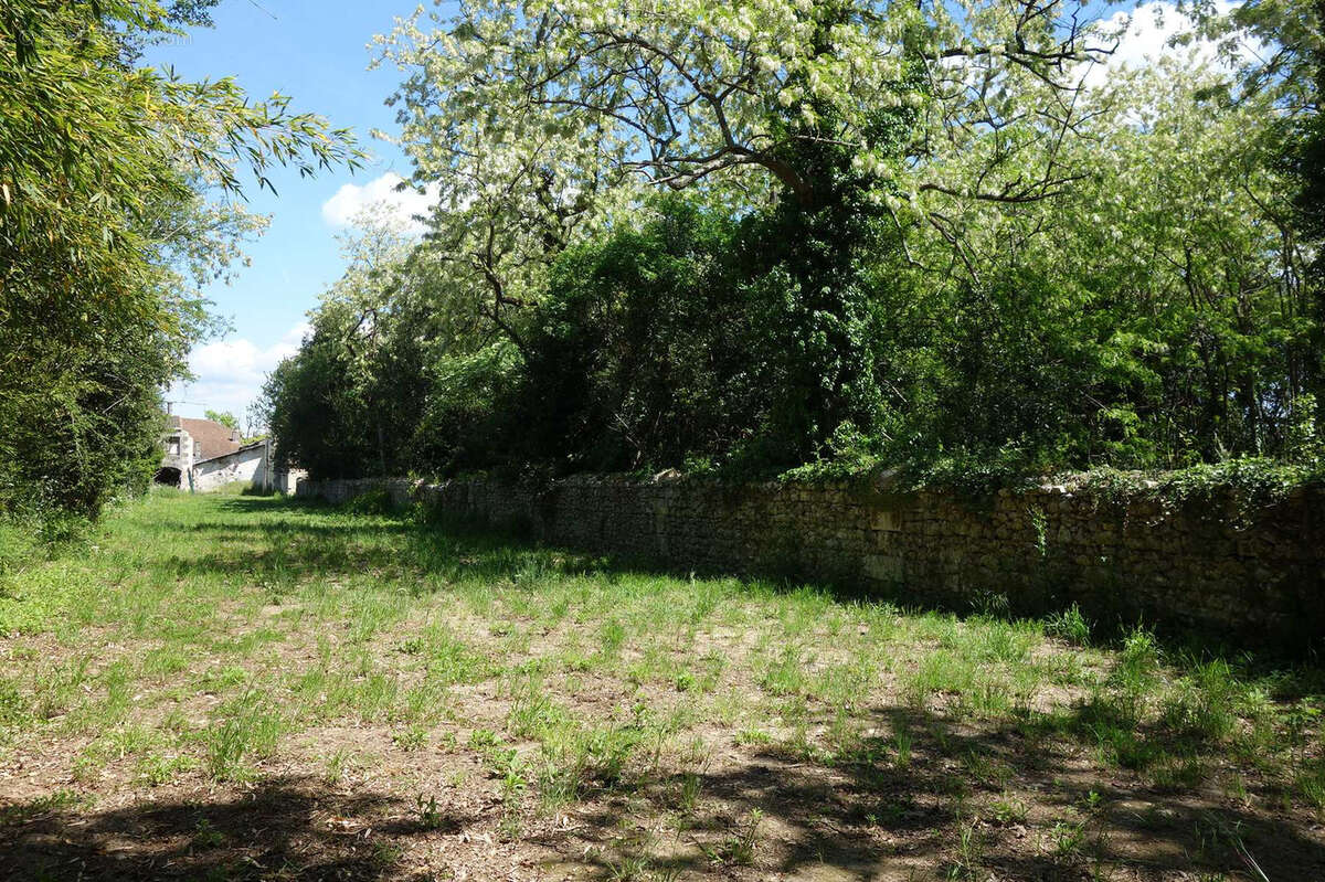 Terrain à SAINT-CHRISTOLY-DE-BLAYE