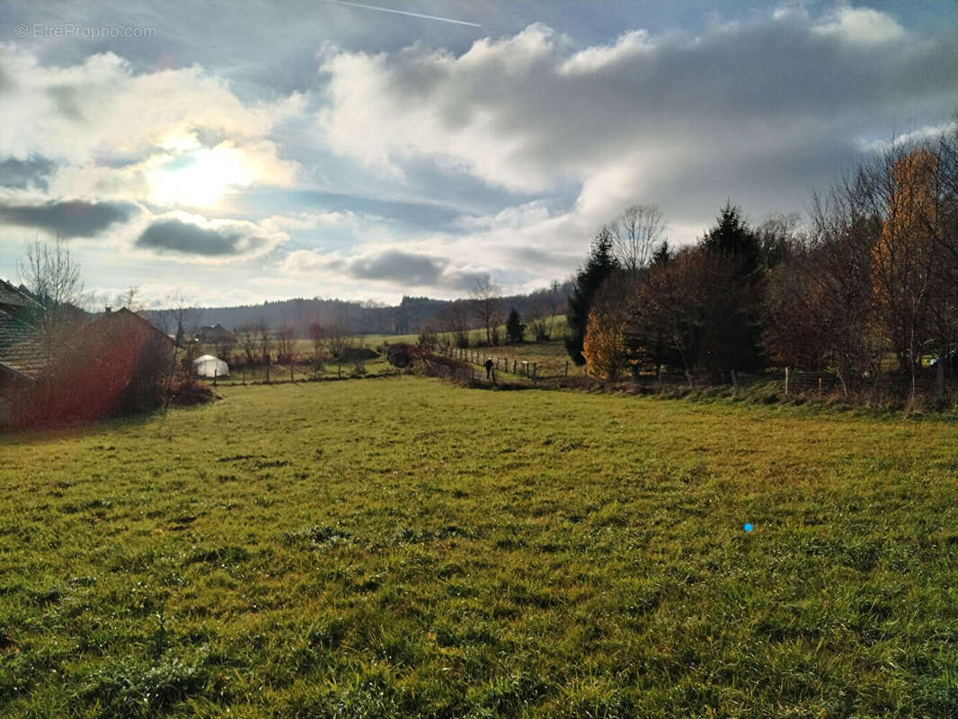 Terrain à SAINTE-ANNE