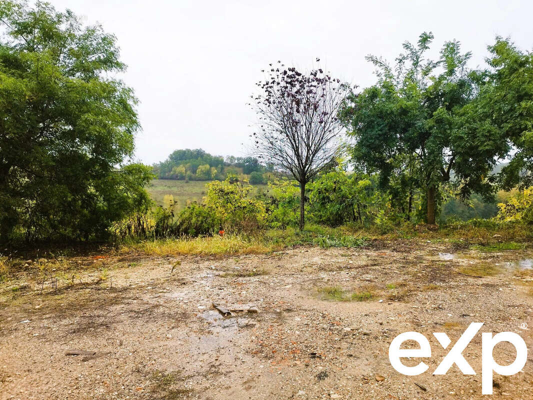 Terrain à MOLIERES
