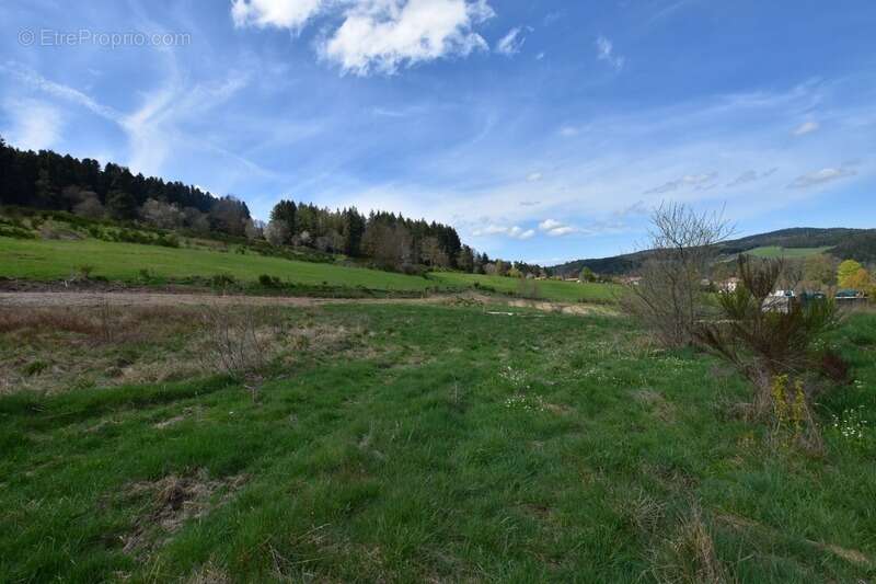 Terrain viabilisé à vendre de 911,00 m² DUNIERES (43), vue dégagée, belle situation - photo 4