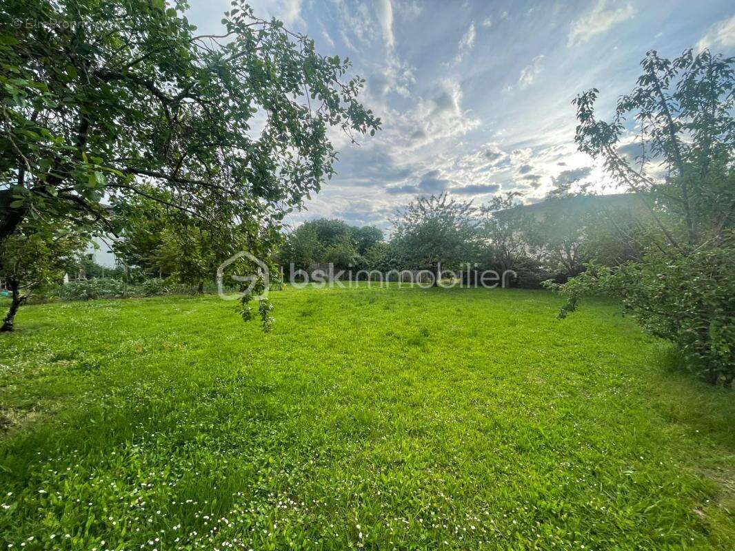 Terrain à vendre  887 m² à Blagnac - photo 9