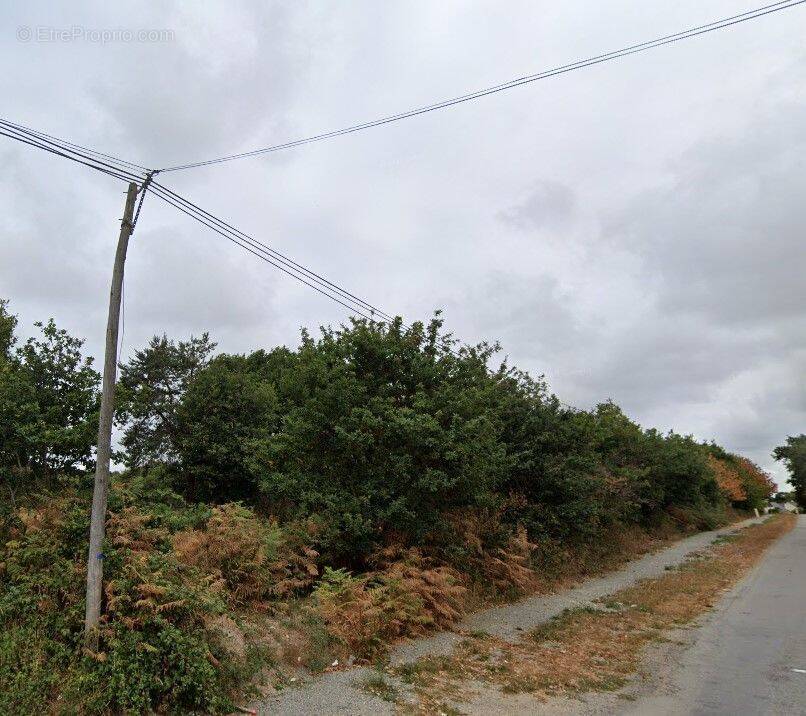 Terrain à LE HINGLE