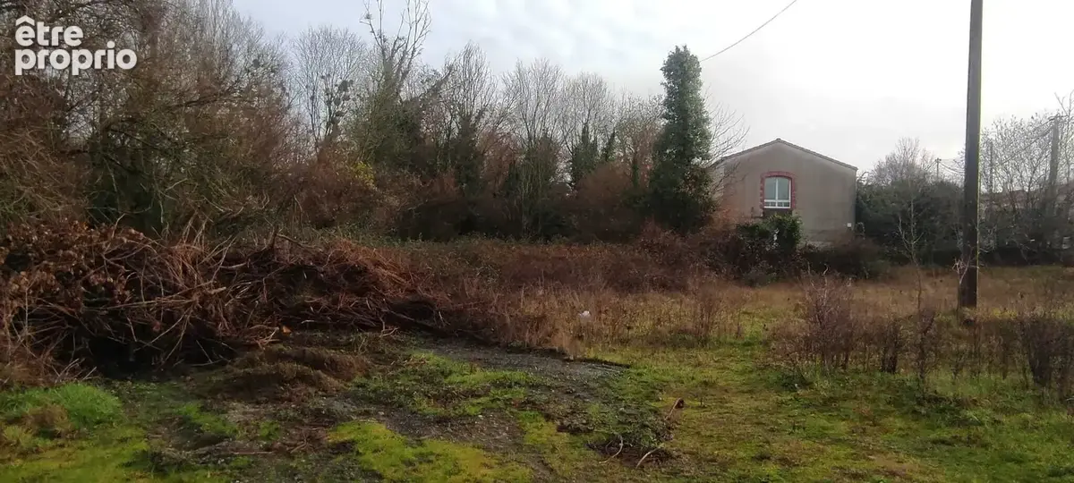 Terrain 1 020 m² à vendre à Mouzillon (44330) - photo 13