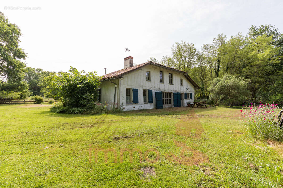 Maison à LE SEN