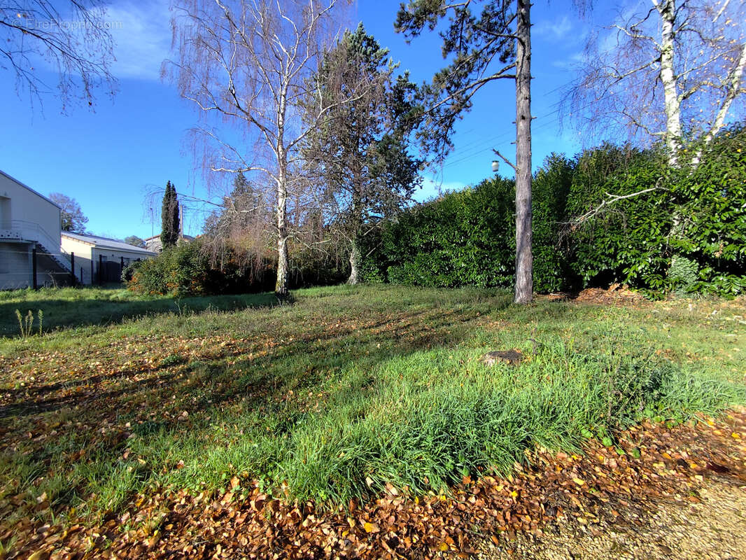 Terrain à SAINT-BENOIT