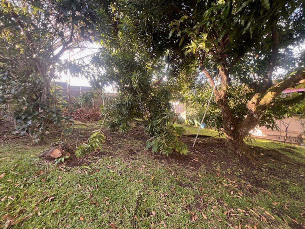 Appartement à FORT-DE-FRANCE