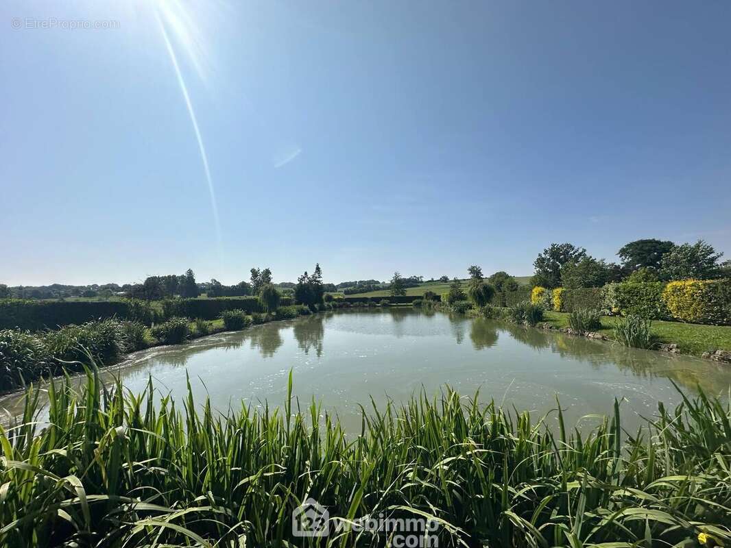 Entouré de verdure - Terrain à HOURY