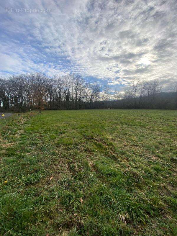 Terrain à BIRON