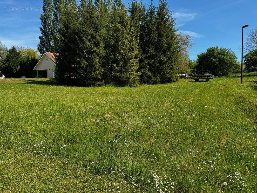 Terrain à SAULNOT