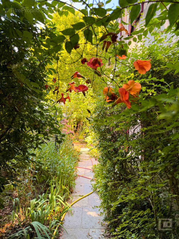 LE JARDIN DU TULIPIER- Une maison Bourguignonne & son jardin bucolique - photo 4
