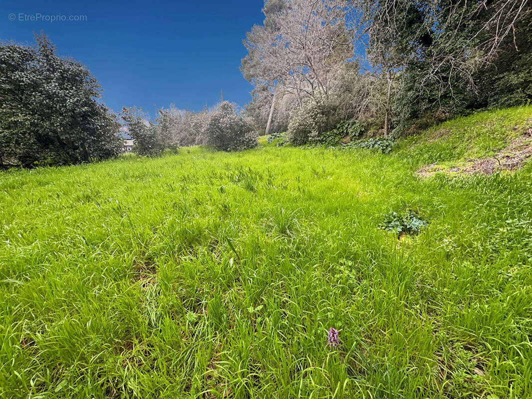 Terrain à MARSEILLE-13E