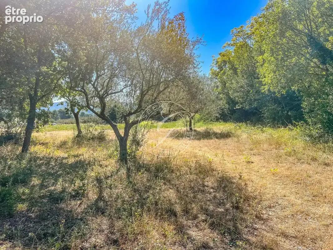 Salernes -terrain à bâtir de 6 447 m² avec permis de construire accordé - photo 4