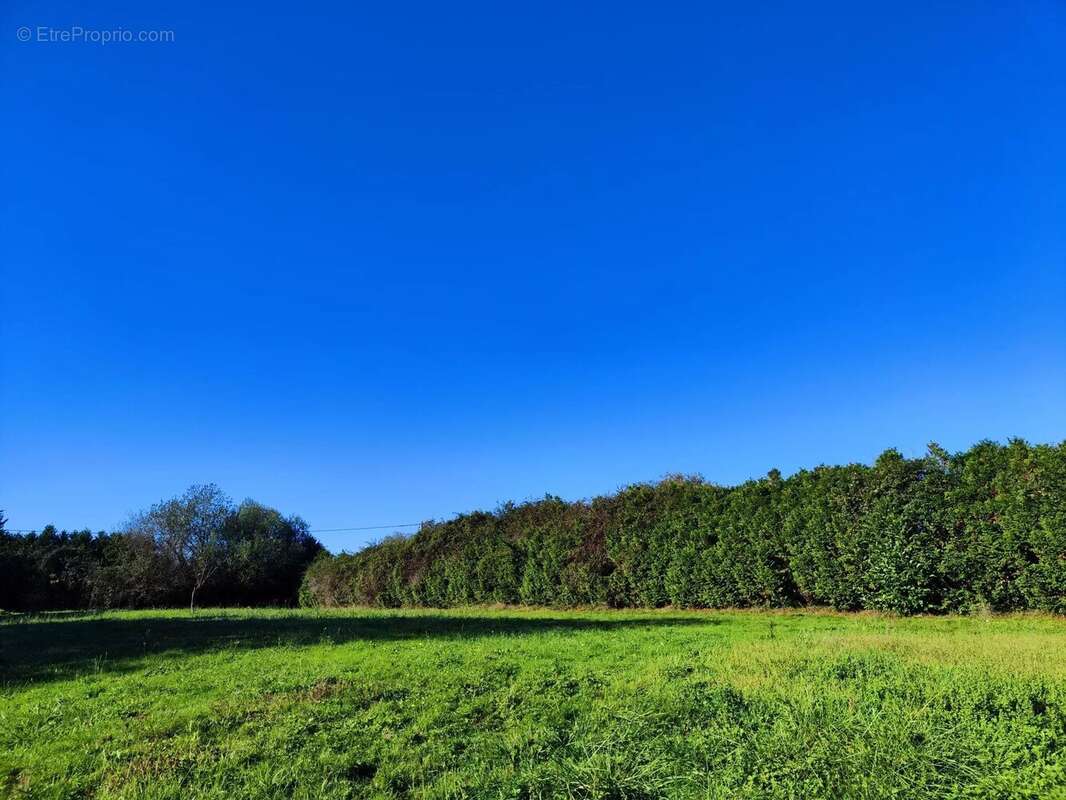 Terrain à SALIES-DE-BEARN