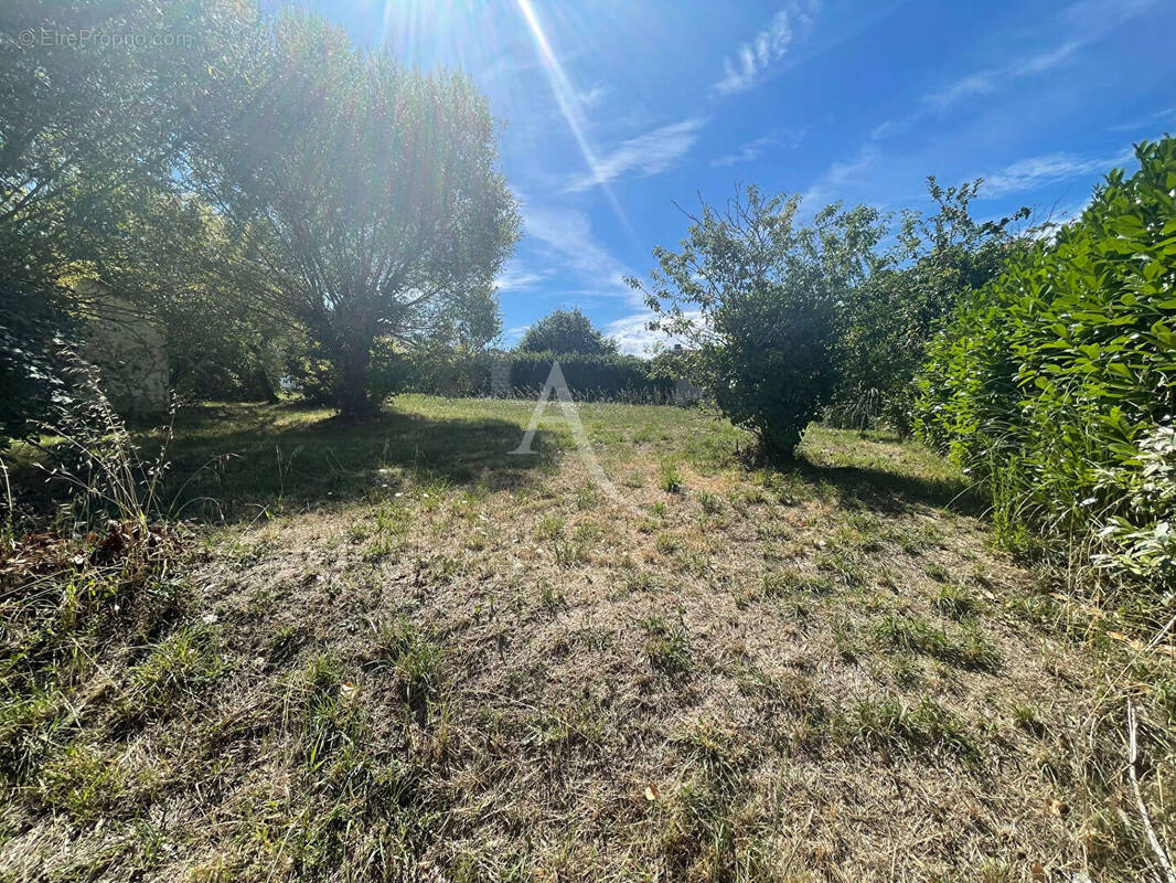 Terrain à SAINT-HILAIRE-DE-RIEZ