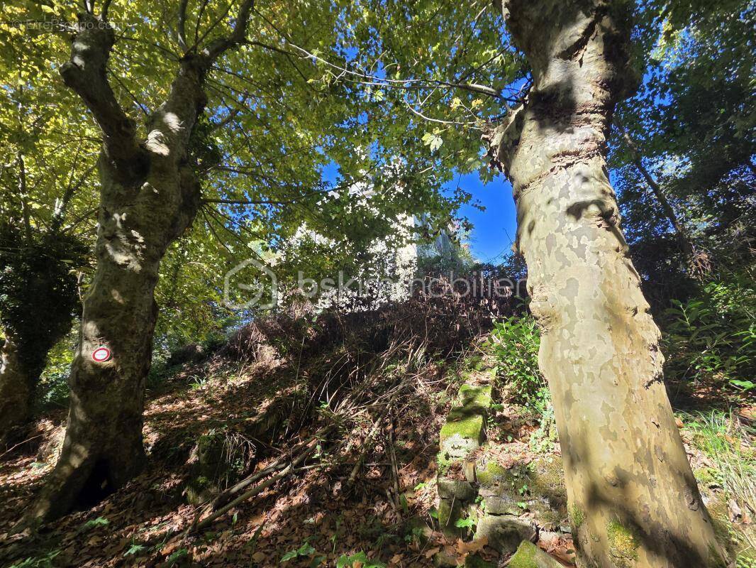 Appartement à NAVARRENX