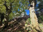 Appartement à NAVARRENX