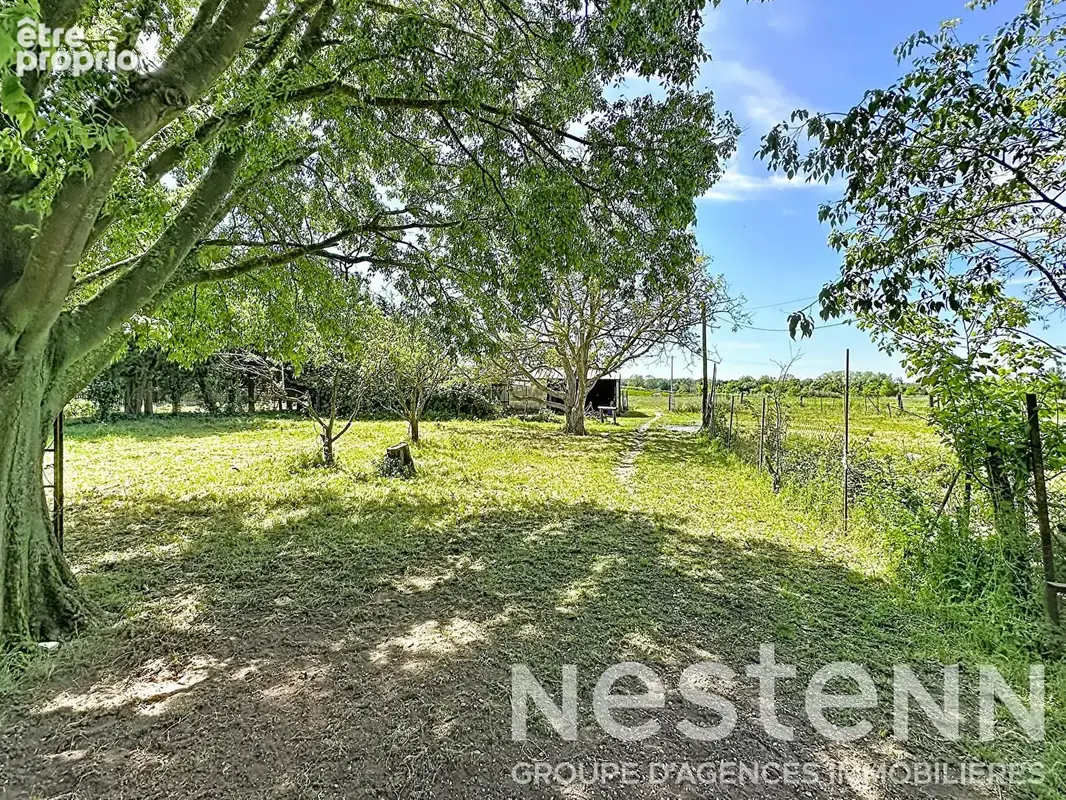Maison à vendre à Arles sur 9000 m² avec deux habitations, dépendances et hangars - photo 13
