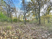 Terrain à SAINT-PAUL-EN-FORET