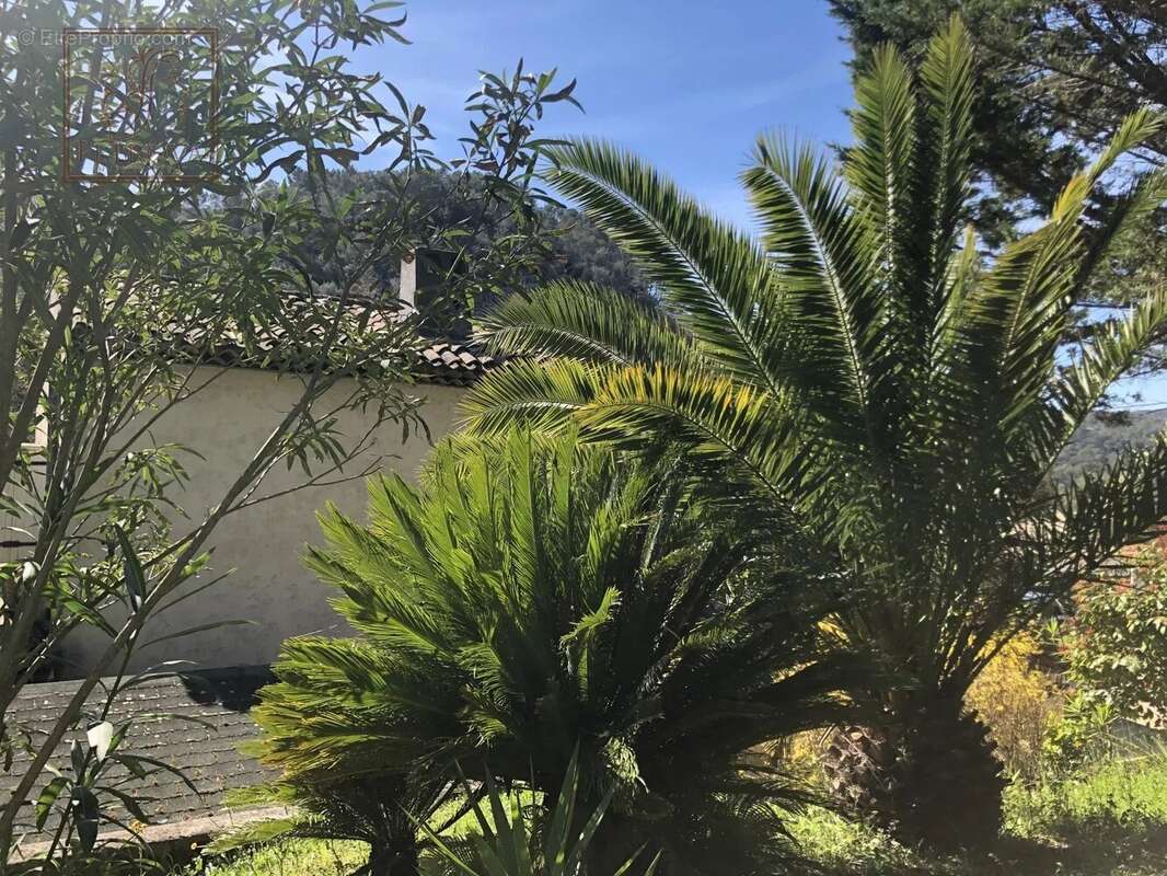 Maison à LA COLLE-SUR-LOUP