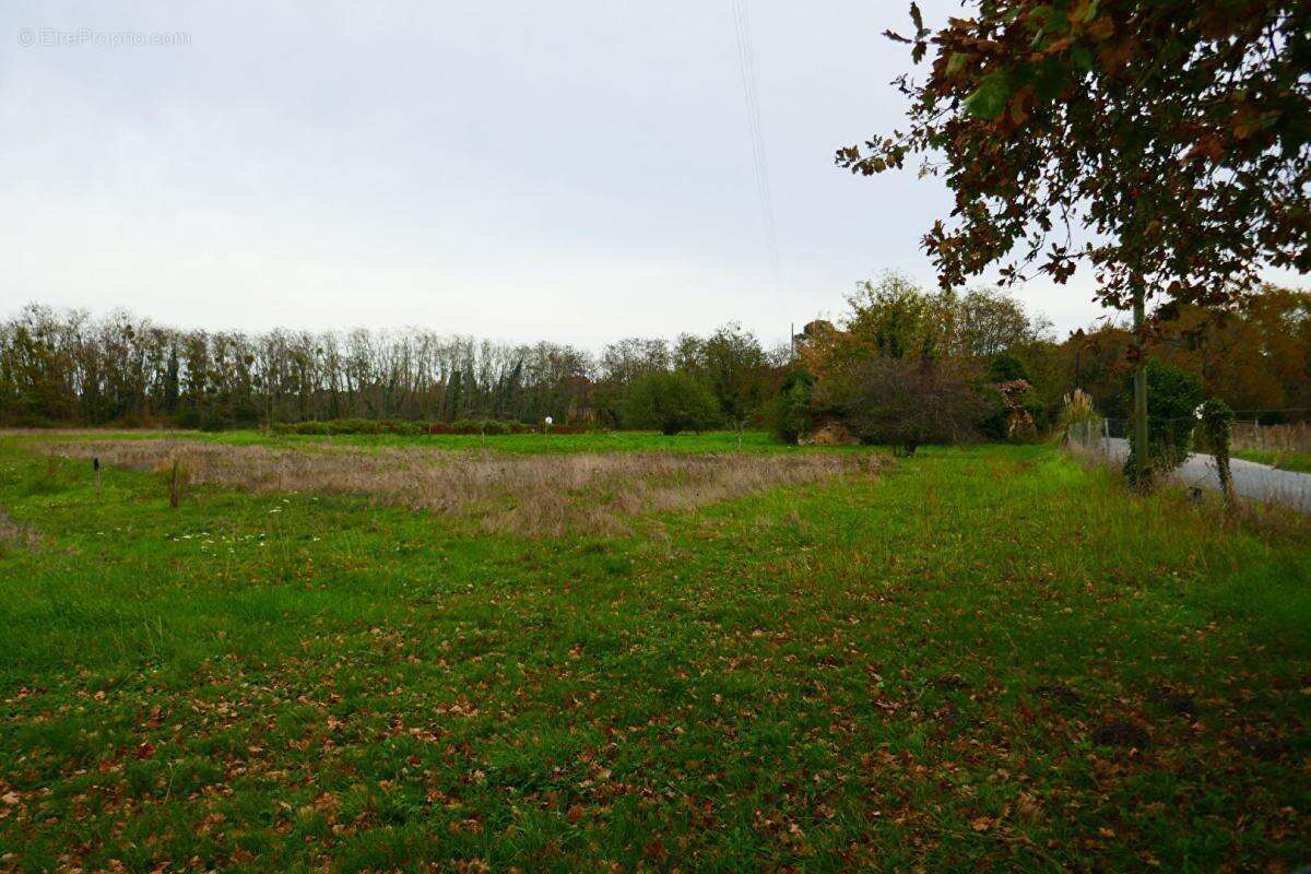 Terrain à LEOGNAN