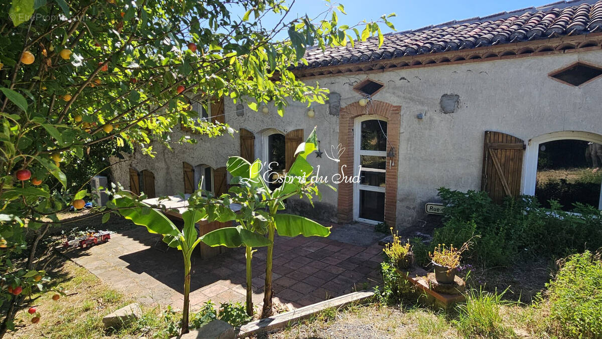 Maison 166 m² à Parisot  - photo 2