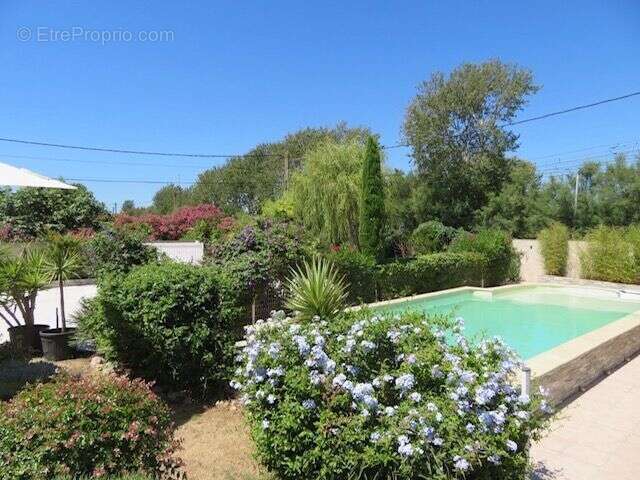 Maison à MARSEILLAN