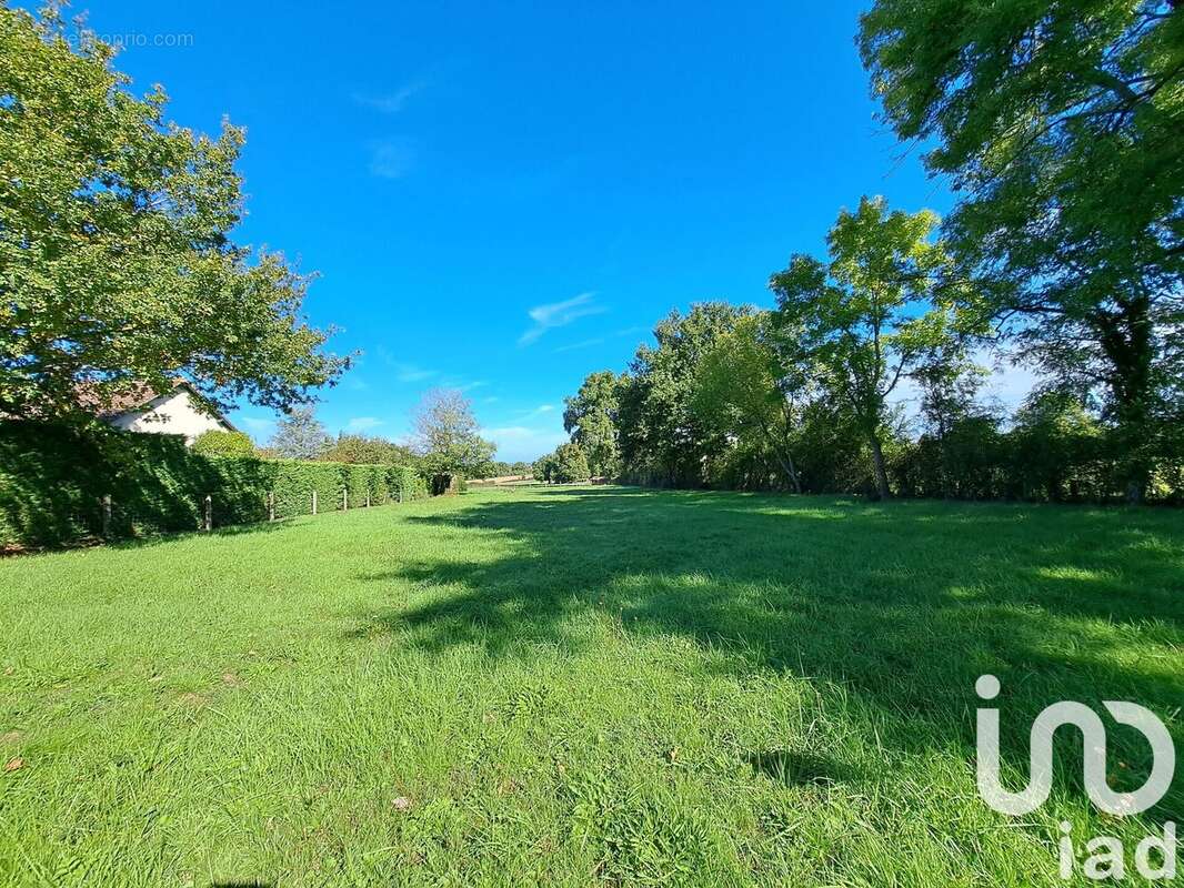 Photo 2 - Terrain à DORNES