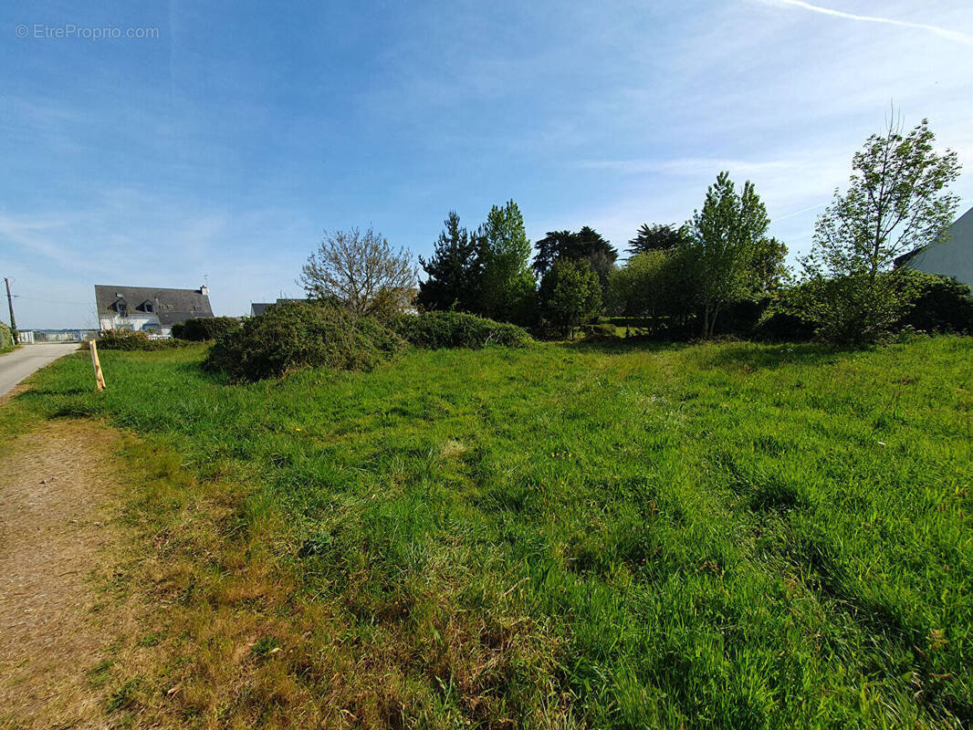 Photo Terrain à Locmariaquer au prix de 576 450€