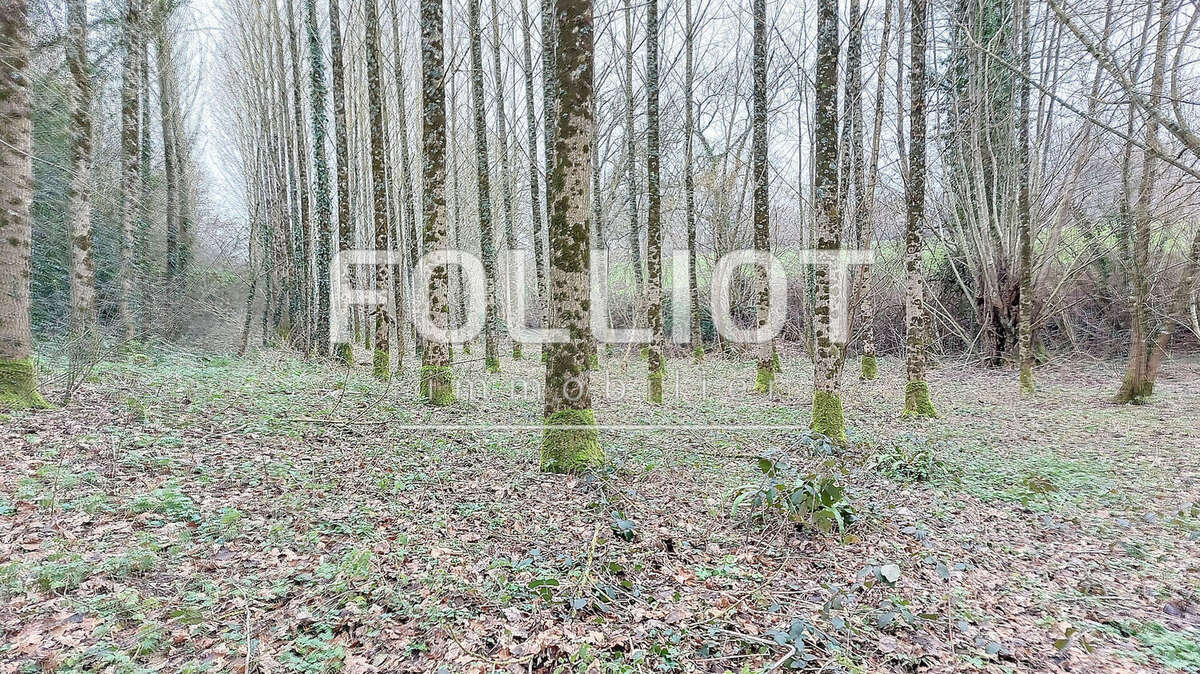 Terrain à HOCQUIGNY