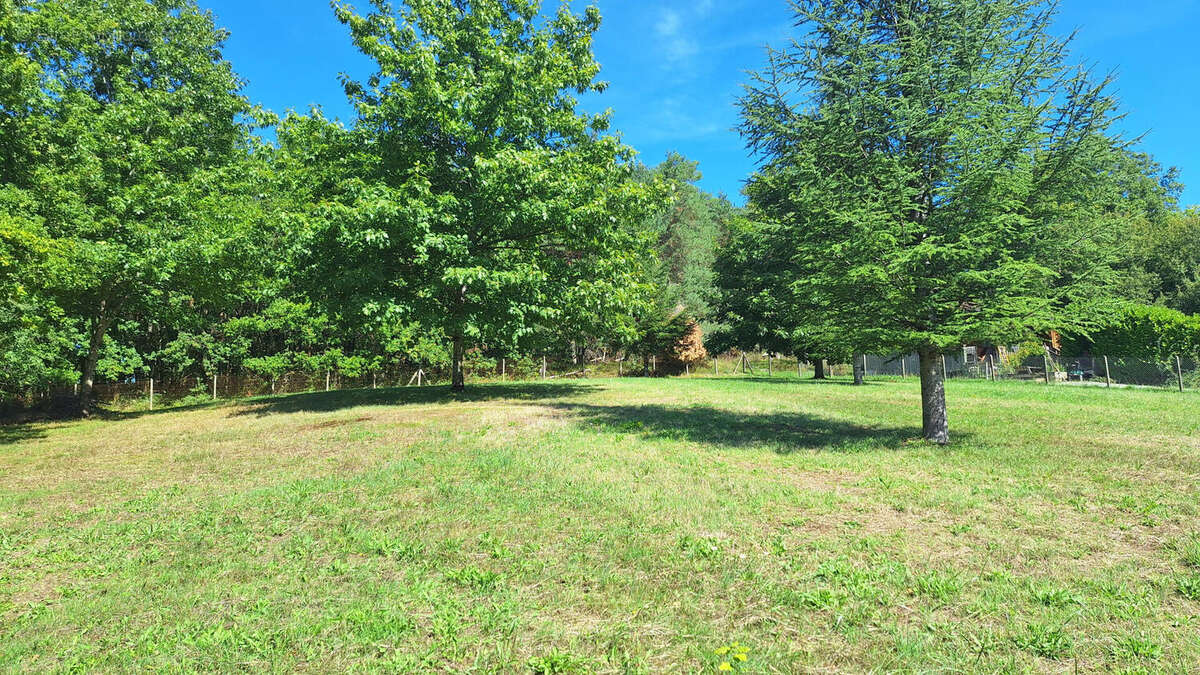 20250917_140917 - Terrain à SAINT-PARDOUX-LA-RIVIERE