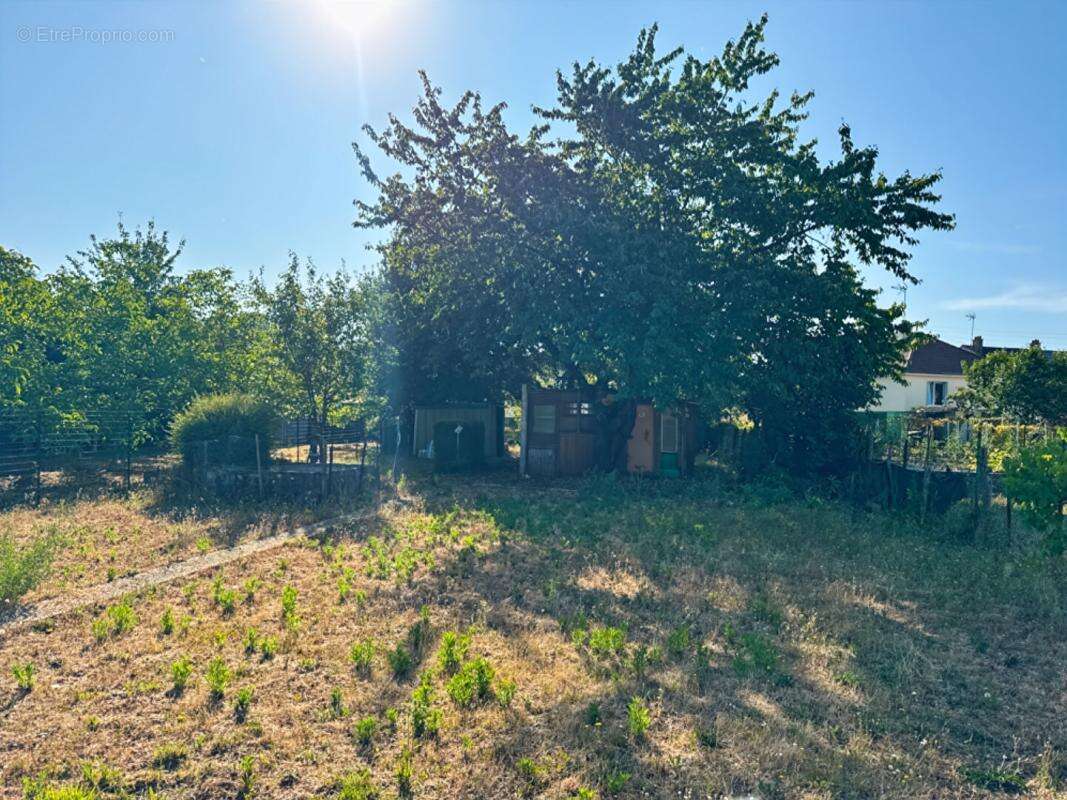 Terrain à SABLE-SUR-SARTHE