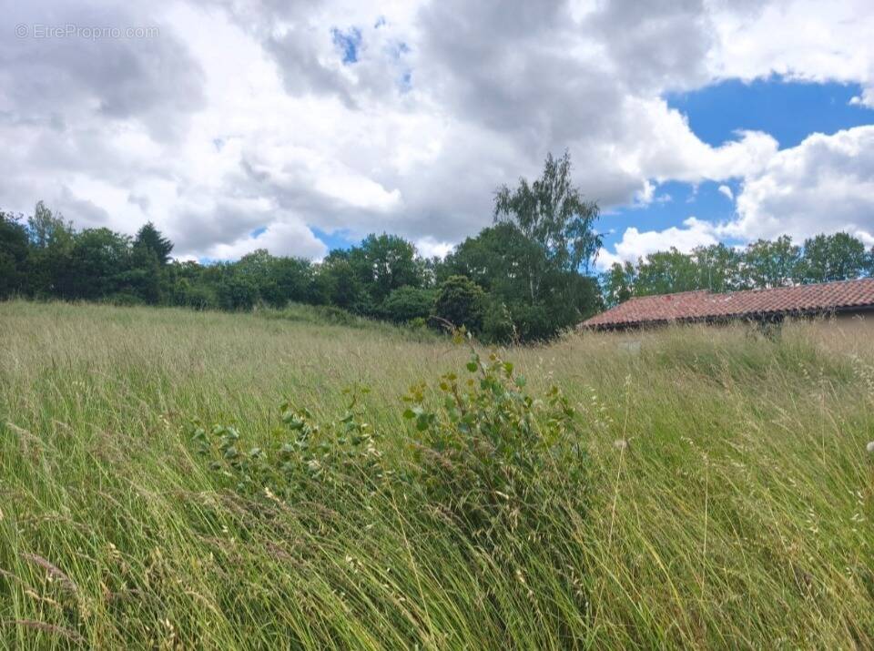 Terrain à BRENS