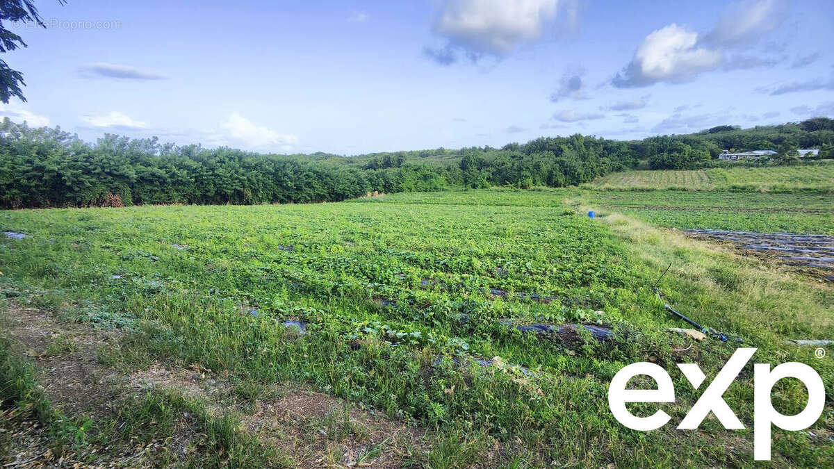 Terrain à LE VAUCLIN