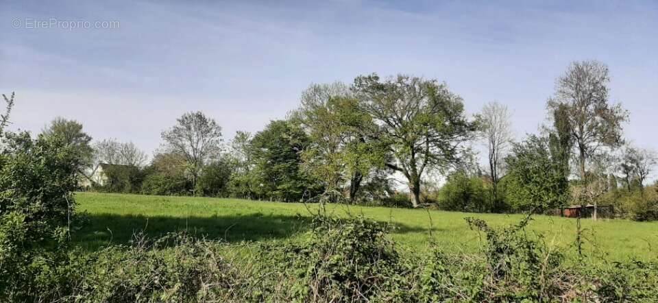 Terrain à SAVIGNE-L'EVEQUE