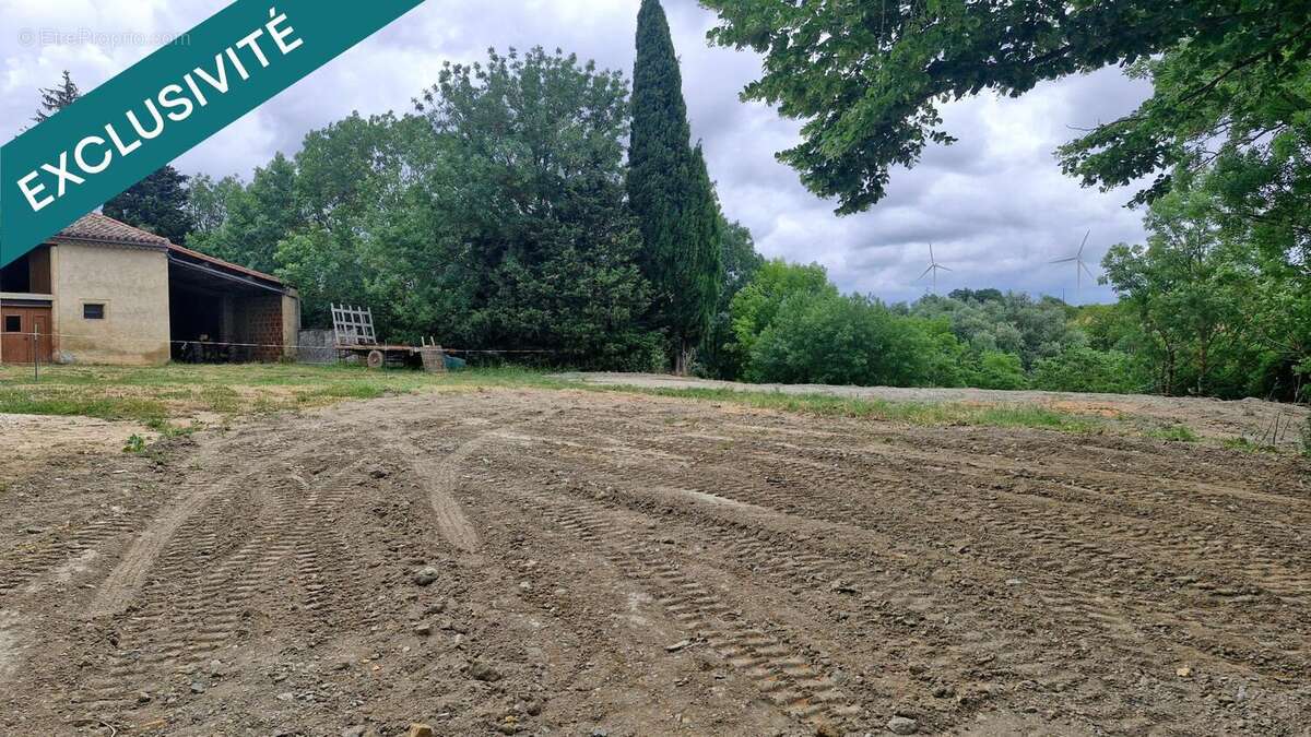 Photo 6 - Terrain à AVIGNONET-LAURAGAIS