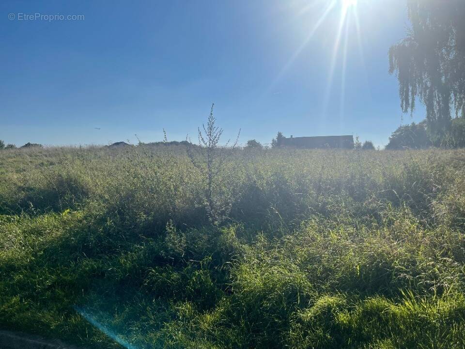 Terrain à MAROLLES-SUR-SEINE