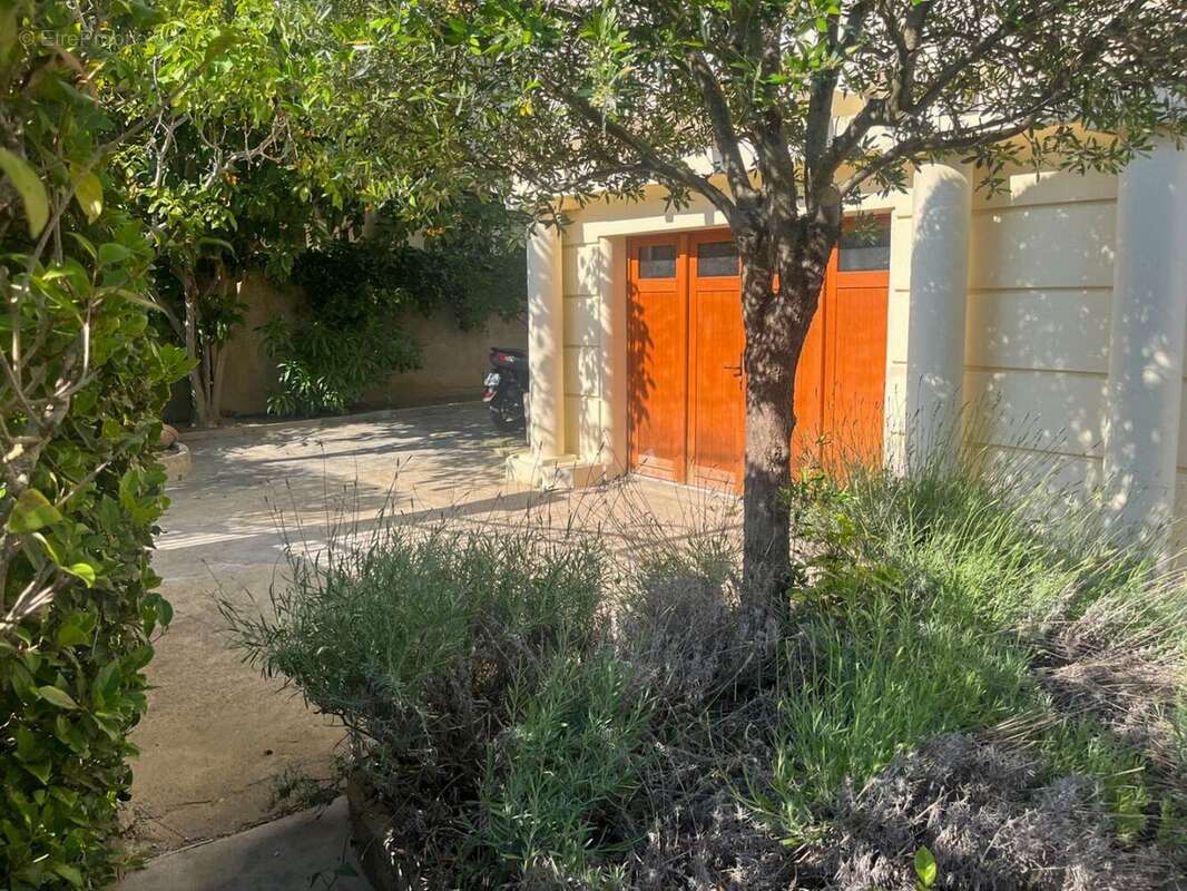 jardin - Maison à CARCASSONNE