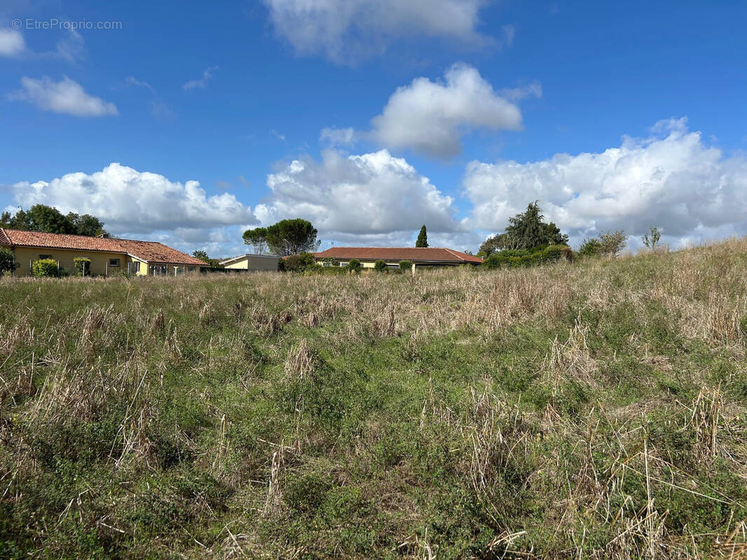 Terrain à MONTAUT-LES-CRENEAUX