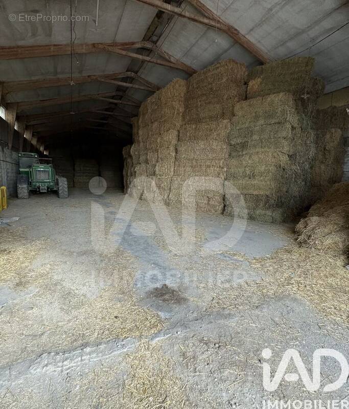 Photo 1 - Maison à MEJANNES-LES-ALES