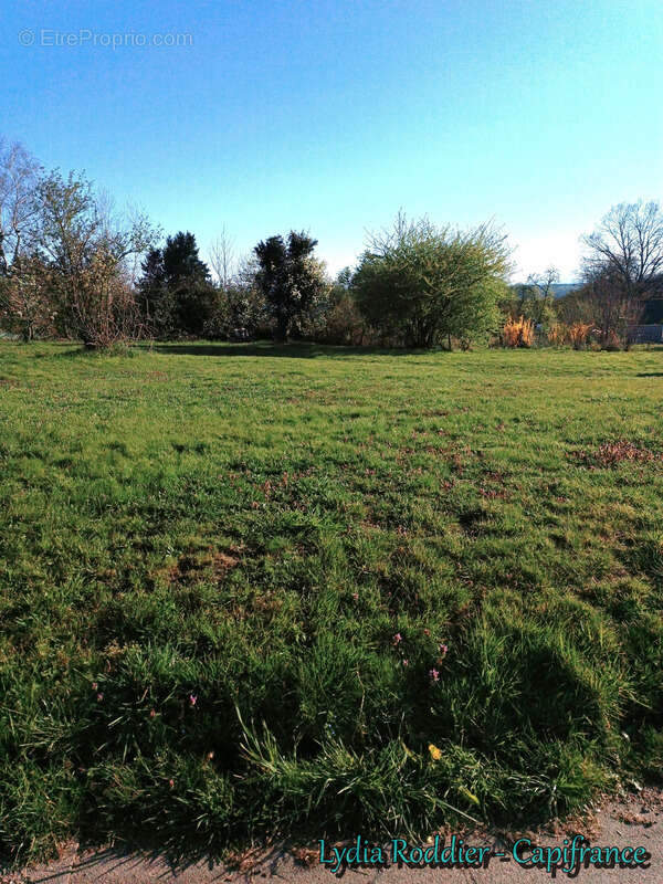 Terrain à vendre - RARE sur PUY GUILLAUME (63290) - photo 2