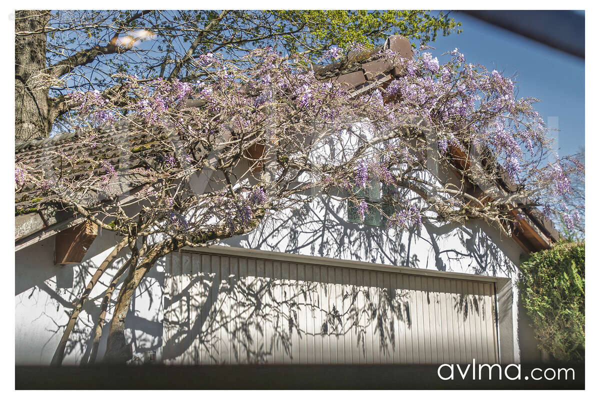 Maison à SAINT-NOM-LA-BRETECHE