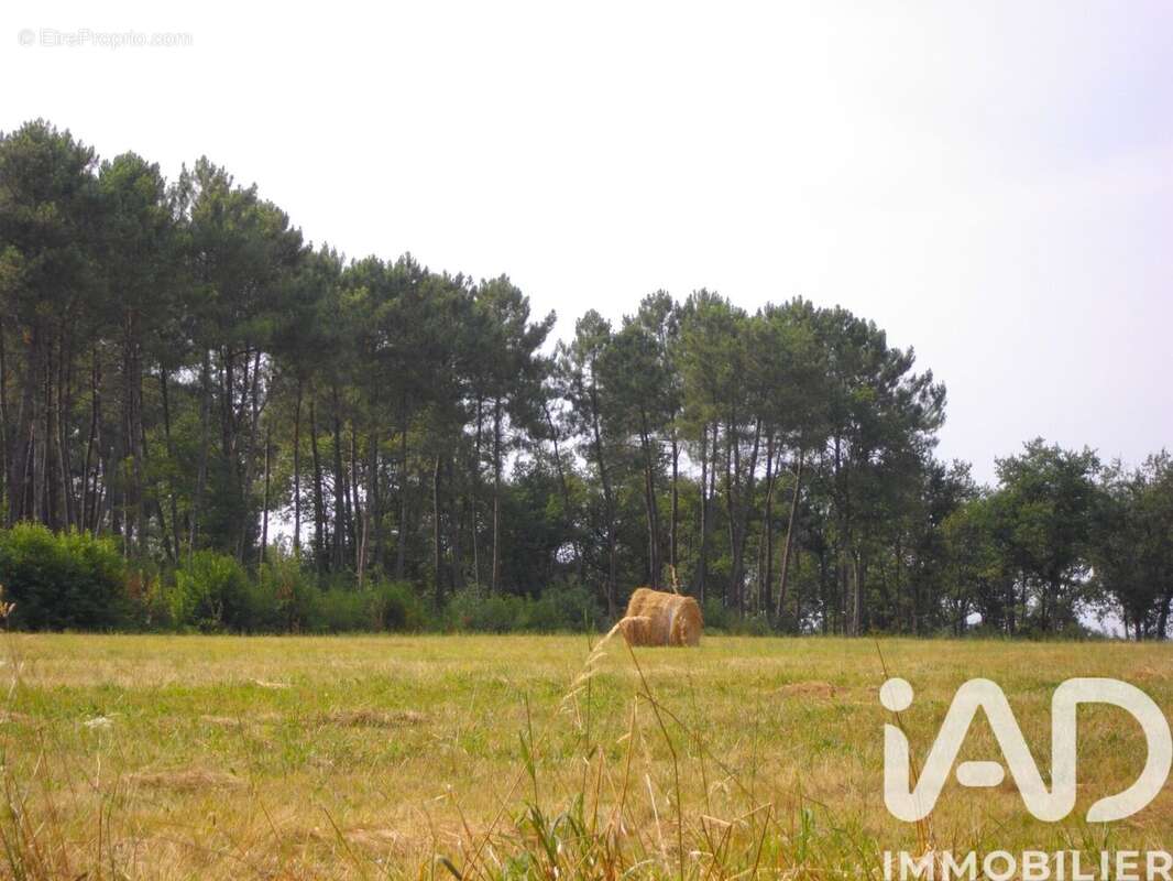 Photo 5 - Maison à BAZAS