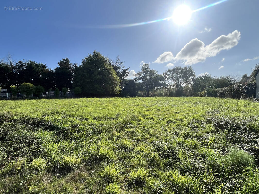 Terrain à VANNES