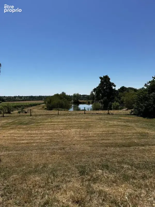 Maison 90 m² à Clere-Sur-Layon  - photo 11