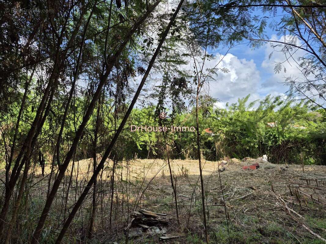 Terrain à LE VAUCLIN