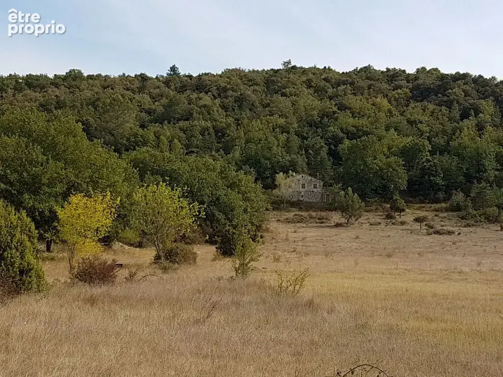 Propriété Agricole avec maison - photo 14